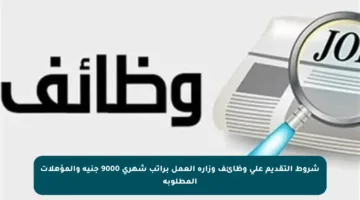 شروط التقديم على وظائف وزارة العمل براتب شهري 9000 جنيه والمؤهلات المطلوبة